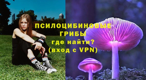 прущая мука Дегтярск
