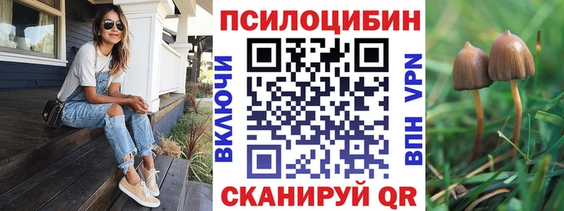 где можно купить   KRAKEN ONION  Галлюциногенные грибы Psilocybe  Теберда 